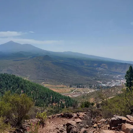 Vista Del Drago Icod De Los Vinos