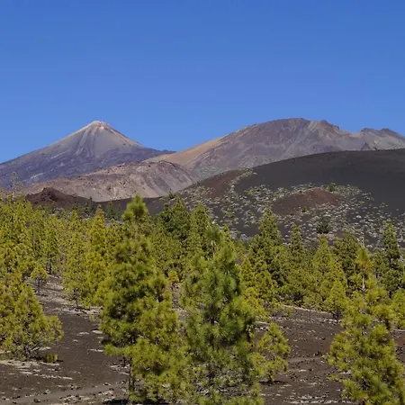 Vista Del Drago Villa Icod De Los Vinos