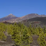 Vista Del Drago וילה איקוד דה לוס וינוס